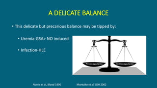 A DELICATE BALANCE
• This delicate but precarious balance may be tipped by:
• Uremia-GSA> NO induced
• Infection-HLE
Norris et al, Blood 1990 Montalto et al, JOH 2002
 