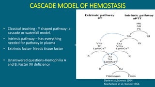 CASCADE MODEL OF HEMOSTASIS
Ist initiating Event
• Classical teaching - Y shaped pathway- a
cascade or waterfall model.
• Intrinsic pathway – has everything
needed for pathway in plasma
• Extrinsic factor- Needs tissue factor
• Unanswered questions-Hemophilia A
and B, Factor XII deficiency
Prothrombinase
complex
Davie et al,Science 1964.
Macfarlane et al, Nature 1964.
 