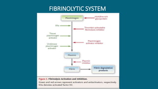 FIBRINOLYTIC SYSTEM
 