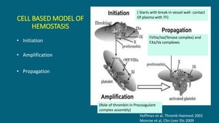 CELL BASED MODEL OF
HEMOSTASIS
• Initiation
• Amplification
• Propagation
Hoffman et al, Thromb Haemost 2001
Monroe et al, Clin Liver Dis 2009
( Starts with break in vessel wall- contact
Of plasma with TF)
(Role of thrombin in Procoagulant
complex assembly)
f.VIIIa/Ixa(Tenase complex) and
f.Xa/Va complexes
 