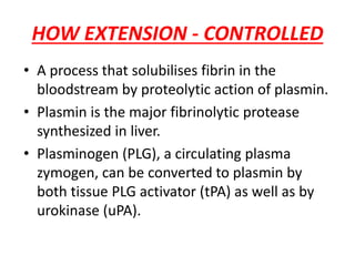 HOW EXTENSION - CONTROLLED
• A process that solubilises fibrin in the
bloodstream by proteolytic action of plasmin.
• Plasmin is the major fibrinolytic protease
synthesized in liver.
• Plasminogen (PLG), a circulating plasma
zymogen, can be converted to plasmin by
both tissue PLG activator (tPA) as well as by
urokinase (uPA).
 