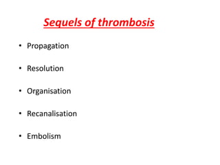 Sequels of thrombosis
• Propagation
• Resolution
• Organisation
• Recanalisation
• Embolism
 