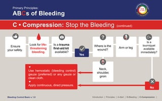 Bleeding Control Basic - Jim Persons | PDF