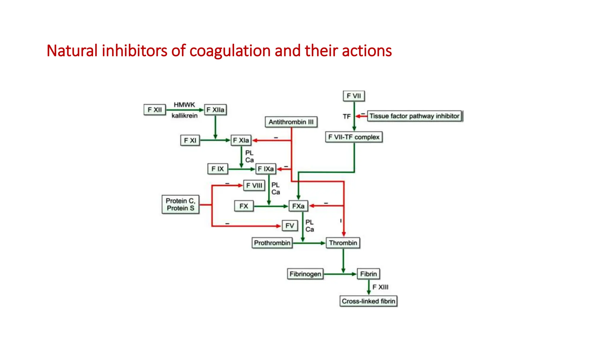 Natural inhibitors of coagulation and their actions
 