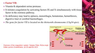 Factor 7 Deficiency Inheritance Bleeding disorders | PPTX
