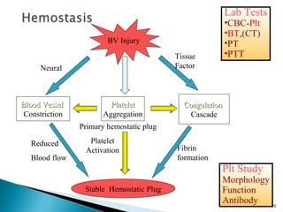 BV Injury
PlateletPlatelet
Aggregation
Platelet
Activation
Blood VesselBlood Vessel
Constriction
CoagulationCoagulation
Cascade
Stable Hemostatic Plug
Fibrin
formation
Reduced
Blood flow
Tissue
Factor
Primary hemostatic plug
Neural
Lab Tests
•CBC-Plt
•BT,(CT)
•PT
•PTT
Plt Study
Morphology
Function
Antibody 10
 