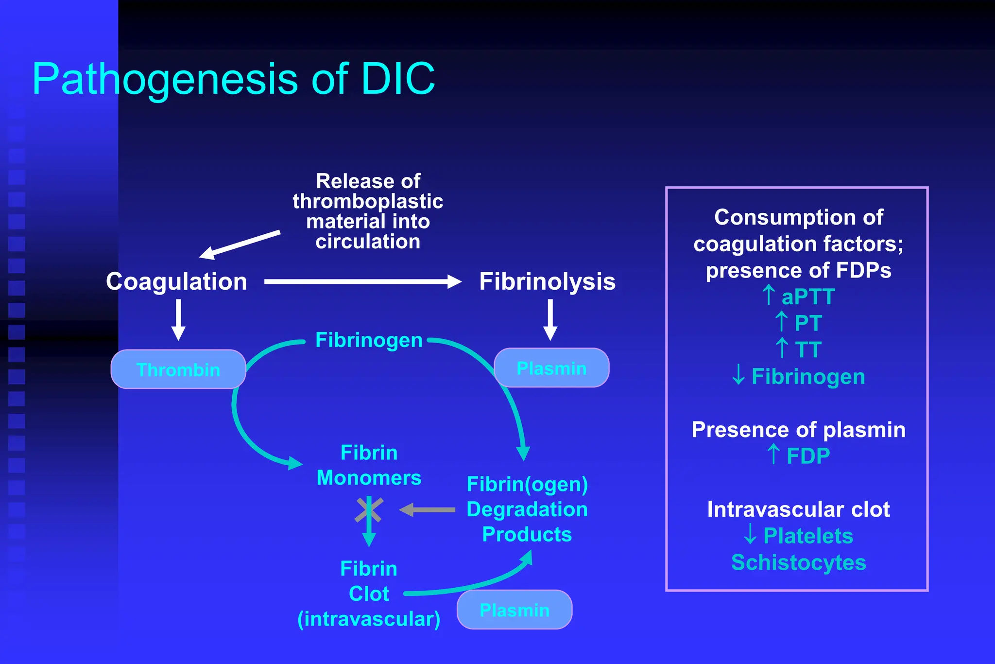 Pathogenesis of DIC
Coagulation Fibrinolysis
Fibrinogen
Fibrin
Monomers
Fibrin
Clot
(intravascular)
Fibrin(ogen)
Degradation
Products
Plasmin
Thrombin Plasmin
Release of
thromboplastic
material into
circulation
Consumption of
coagulation factors;
presence of FDPs
 aPTT
 PT
 TT
 Fibrinogen
Presence of plasmin
 FDP
Intravascular clot
 Platelets
Schistocytes
 