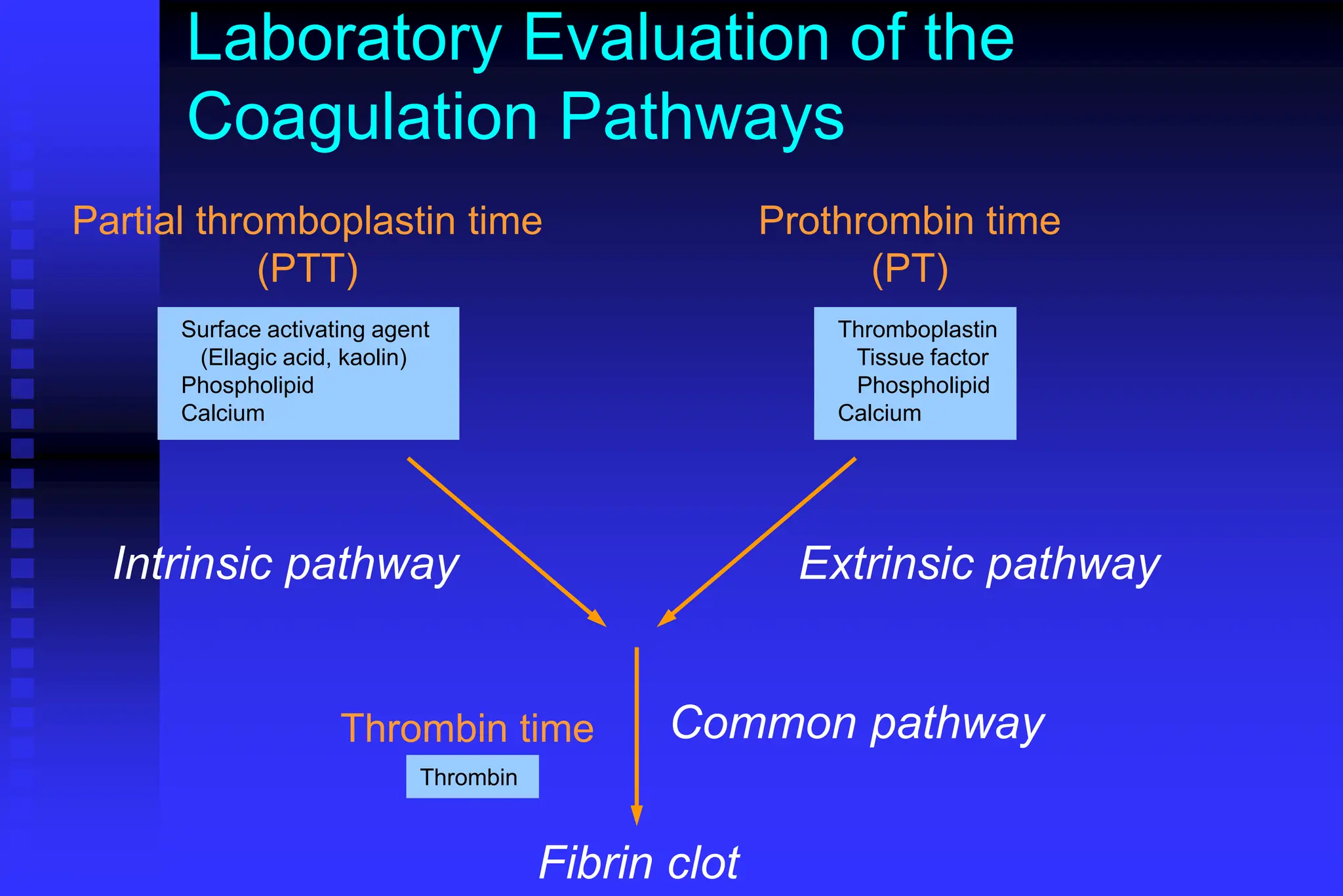 Laboratory Evaluation of the
Coagulation Pathways
Partial thromboplastin time
(PTT)
Prothrombin time
(PT)
Intrinsic pathway Extrinsic pathway
Common pathway
Thrombin time
Thrombin
Surface activating agent
(Ellagic acid, kaolin)
Phospholipid
Calcium
Thromboplastin
Tissue factor
Phospholipid
Calcium
Fibrin clot
 