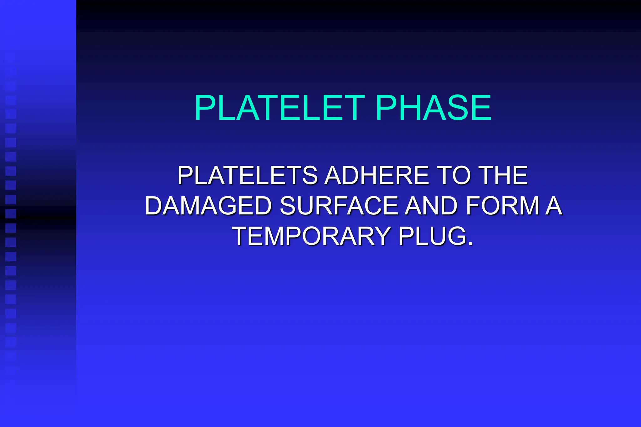 PLATELET PHASE
PLATELETS ADHERE TO THE
DAMAGED SURFACE AND FORM A
TEMPORARY PLUG.
 