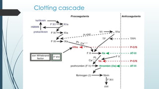 Clotting cascade
 