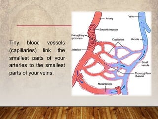 Tiny blood vessels
(capillaries) link the
smallest parts of your
arteries to the smallest
parts of your veins.
 