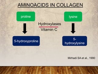 proline
5-hydroxyproline
lysine
5-
hydroxylysine
Vitamin C
Hydroxylases
Mirhadi SA et al., 1990
AMINOACIDS IN COLLAGEN
 