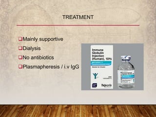 Mainly supportive
Dialysis
No antibiotics
Plasmapheresis / i.v IgG
TREATMENT
 