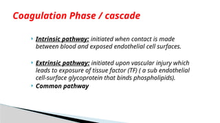 Intrinsic pathway: initiated when contact is made
between blood and exposed endothelial cell surfaces.
 Extrinsic pathway: initiated upon vascular injury which
leads to exposure of tissue factor (TF) ( a sub endothelial
cell-surface glycoprotein that binds phospholipids).
 Common pathway
Coagulation Phase / cascade
 