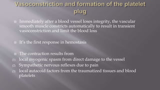  Immediately after a blood vessel loses integrity, the vascular
smooth muscle constricts automatically to result in transient
vasoconstriction and limit the blood loss
 It’s the first response in hemostasis
 The contraction results from
(1) local myogenic spasm from direct damage to the vessel
(2) Sympathetic nervous reflexes due to pain
(3) local autacoid factors from the traumatized tissues and blood
platelets
 