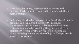  After vascular injury, vasoconstriction occurs and
flowing blood comes in contact with the subendothelial
matrix protein.
 In flowing blood, when exposed to subendothelial matrix
proteins, von Willebrand factor (VWF) changes
conformation and adheres to subendothelial collagen,
while simultaneously providing the glue to which the
platelet VWF receptor (the glycoprotein Ib complex)
binds, tethering platelets to sites of injury. This process is
known as adhesion.
 