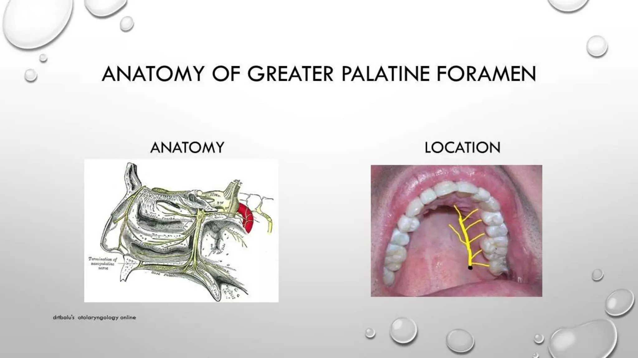Reducing Bleeding fess