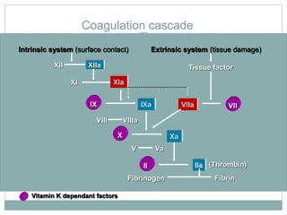 Coagulation cascade
Vitamin K dependant factors
XIIa
IIa
Intrinsic system (surface contact)
XII
XI XIa
Tissue factor
IX IXa VIIa VII
VIII VIIIa
Extrinsic system (tissue damage)
X
V Va
II
Fibrinogen Fibrin
(Thrombin)IIa
Xa
 