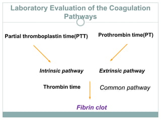 Laboratory Evaluation of the Coagulation
Pathways
Partial thromboplastin time(PTT) Prothrombin time(PT)
Intrinsic pathway Extrinsic pathway
Common pathwayThrombin time
Fibrin clot
 