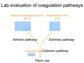 Lab evaluation of coagulation pathways
Partial thromboplastin time
(PTT)
Prothrombin time
(PT)
Intrinsic pathway Extrinsic pathway
Common pathwayThrombin time
Thrombin
Surface activating agent
(Ellagic acid, kaolin)
Phospholipid
Calcium
Thromboplastin
Tissue factor
Phospholipid
Calcium
Fibrin clot
 