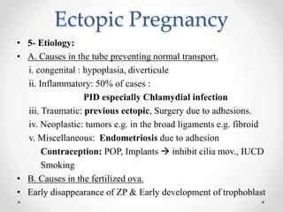 Ectopic Pregnancy
• 5- Etiology:
• A. Causes in the tube preventing normal transport.
i. congenital : hypoplasia, diverticule
ii. Inflammatory: 50% of cases :
PID especially Chlamydial infection
iii. Traumatic: previous ectopic, Surgery due to adhesions.
iv. Neoplastic: tumors e.g. in the broad ligaments e.g. fibroid
v. Miscellaneous: Endometriosis due to adhesion
Contraception: POP, Implants  inhibit cilia mov., IUCD
Smoking
• B. Causes in the fertilized ova.
• Early disappearance of ZP & Early development of trophoblast
 