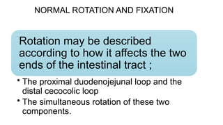 Bleeding Per Rectum.pptx about bleeding in rectum | PPTX