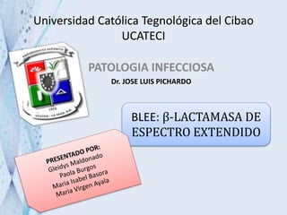 Universidad Católica Tegnológica del Cibao
UCATECI
PATOLOGIA INFECCIOSA
Dr. JOSE LUIS PICHARDO
BLEE: β-LACTAMASA DE
ESPECTRO EXTENDIDO
 