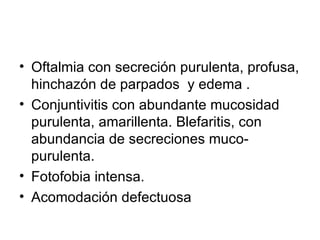 Oftalmia con secreción purulenta, profusa, hinchazón de parpados  y edema . Conjuntivitis con abundante mucosidad purulenta, amarillenta. Blefaritis, con abundancia de secreciones muco-purulenta. Fotofobia intensa. Acomodación defectuosa 