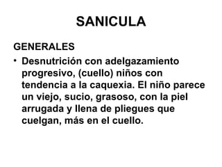 SANICULA GENERALES Desnutrición con adelgazamiento progresivo, (cuello) niños con tendencia a la caquexia. El niño parece un viejo, sucio, grasoso, con la piel arrugada y llena de pliegues que cuelgan, más en el cuello. 