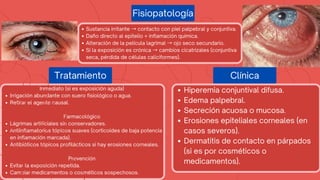 Fisiopatología
Sustancia irritante →contacto con piel palpebral y conjuntiva.
Daño directo al epitelio + inflamación química.
Alteración de la película lagrimal →ojo seco secundario.
Si la exposición es crónica →cambios cicatrizales (conjuntiva
seca, pérdida de células caliciformes).
Tratamiento
Inmediato (si es exposición aguda)
Irrigación abundante con suero fisiológico o agua.
Retirar el agente causal.
Farmacológico
Lágrimas artificiales sin conservadores.
Antiinflamatorios tópicos suaves (corticoides de baja potencia
en inflamación marcada).
Antibióticos tópicos profilácticos si hay erosiones corneales.
Prevención
Evitar la exposición repetida.
Cambiar medicamentos o cosméticos sospechosos.
Clínica
Hiperemia conjuntival difusa.
Edema palpebral.
Secreción acuosa o mucosa.
Erosiones epiteliales corneales (en
casos severos).
Dermatitis de contacto en párpados
(si es por cosméticos o
medicamentos).
 