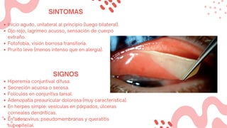 Inicio agudo, unilateral al principio (luego bilateral).
Ojo rojo, lagrimeo acuoso, sensación de cuerpo
extraño.
Fotofobia, visión borrosa transitoria.
Prurito leve (menos intenso que en alergia).
SINTOMAS
Hiperemia conjuntival difusa.
Secreción acuosa o serosa.
Folículos en conjuntiva tarsal.
Adenopatía preauricular dolorosa (muy característica).
En herpes simple: vesículas en párpados, úlceras
corneales dendríticas.
En adenovirus: pseudomembranas y queratitis
subepitelial.
SIGNOS
 