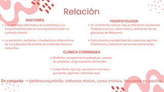 Relación
Los párpados (afectados en la blefaritis) y la
conjuntiva (afectada en la conjuntivitis) están en
contacto directo.
La secreción, bacterias o mediadores inflamatorios
de los párpados fácilmente se extienden hacia la
conjuntiva.
ANATOMÍA
En la blefaritis crónica, hay proliferación bacteriana
(Staphylococcus, sobre todo) y alteración de las
glándulas de Meibomio.
Esto provoca inestabilidad de la película lagrimal,
inflamación y liberación de toxinas bacterianas.
FISIOPATOLOGÍA
Blefaritis: enrojecimiento palpebral, costras
en pestañas, engrosamiento de bordes.
Conjuntivitis: ojo rojo, secreción mucosa o
purulenta, lagrimeo, fotofobia leve.
CLIÍNICA COMBINADA
En conjunto →blefaroconjuntivitis: síntomas mixtos, curso crónico, frecuente en adultos.
 
