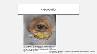 ANATOMÍA
Cirugia Estetica de Cabeza y Cuello Mc Graw – Hill Altras de Cirugía Plástica Samiuel J.
Lin . Thomas A. Mustoe
 