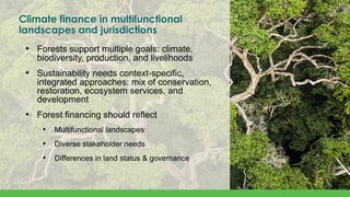 Unlocking Climate Finance for Forests – GLF Forests 2025 | PDF