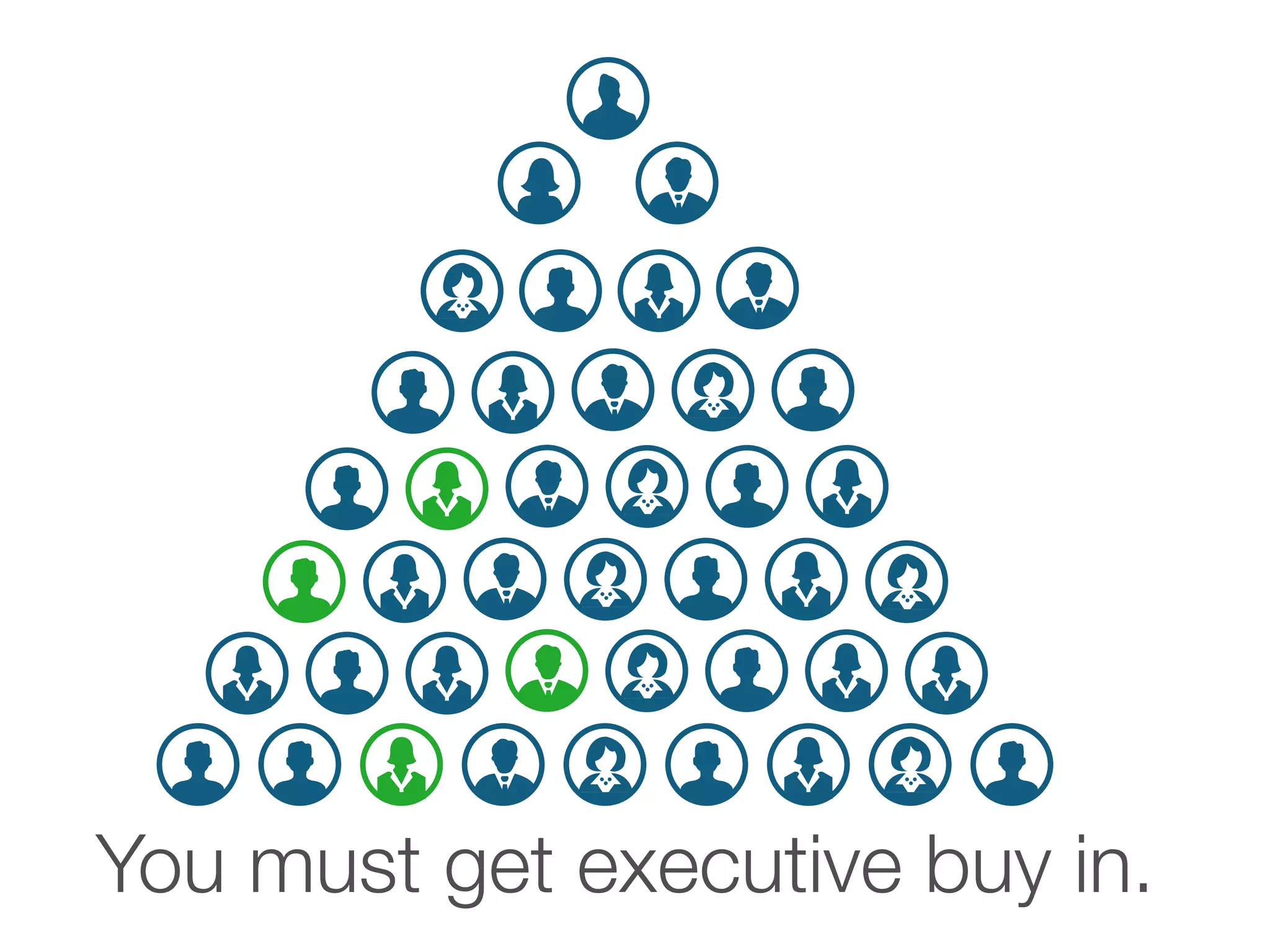 You must get executive buy in.
 