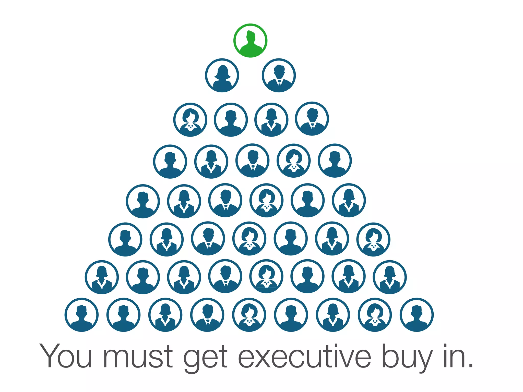 You must get executive buy in.
 