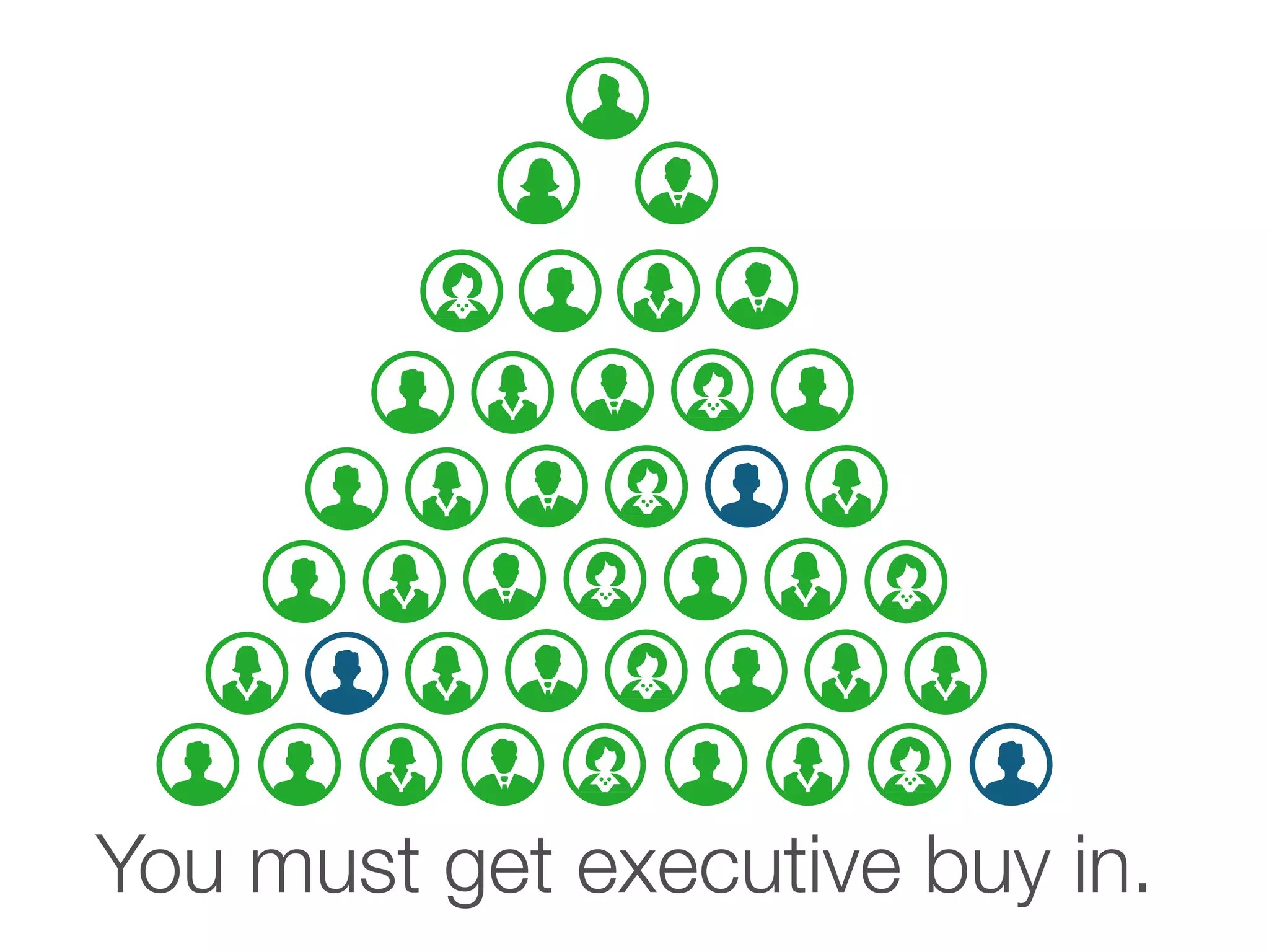 You must get executive buy in.
 
