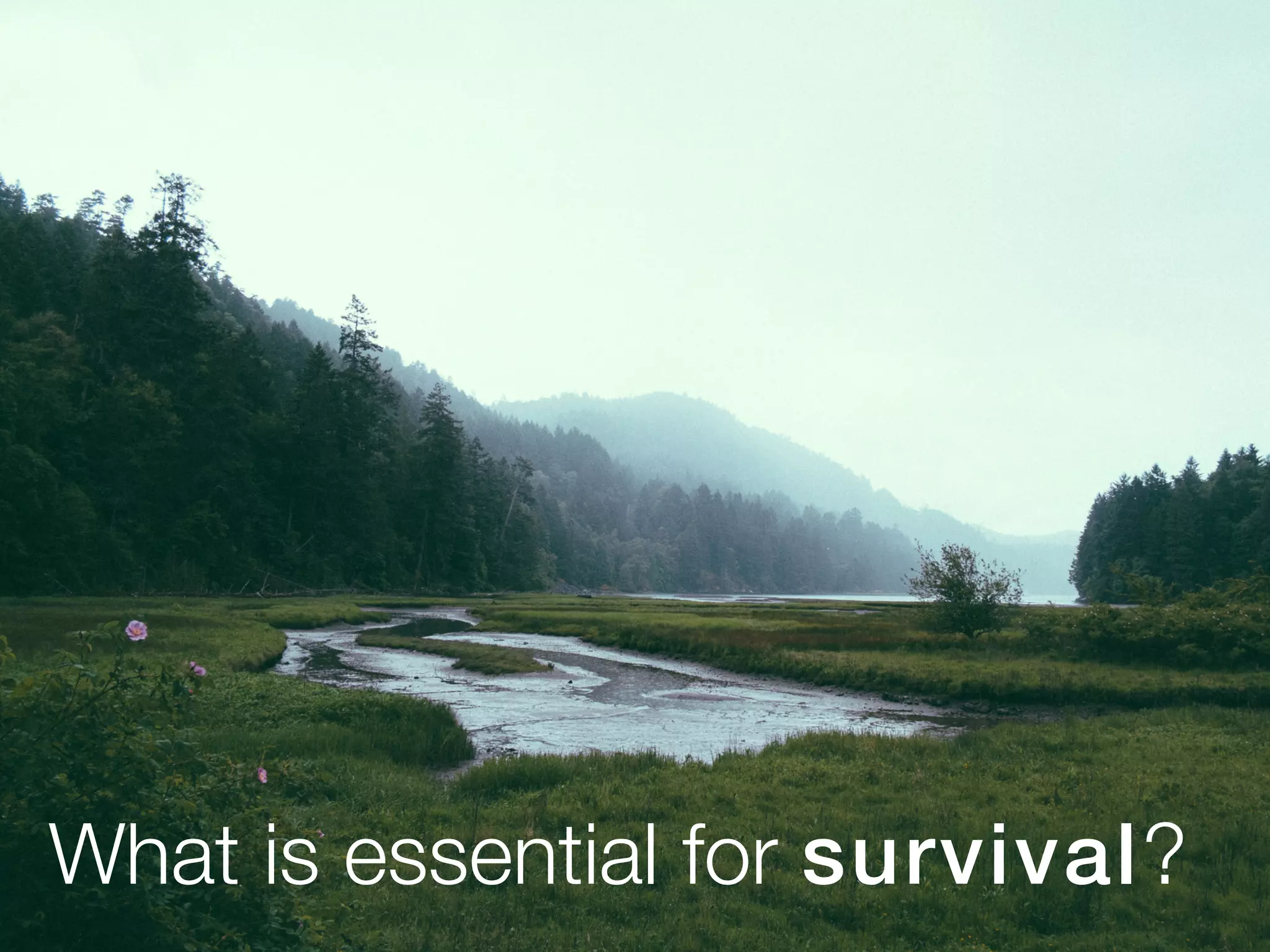 What is essential for survival?
 