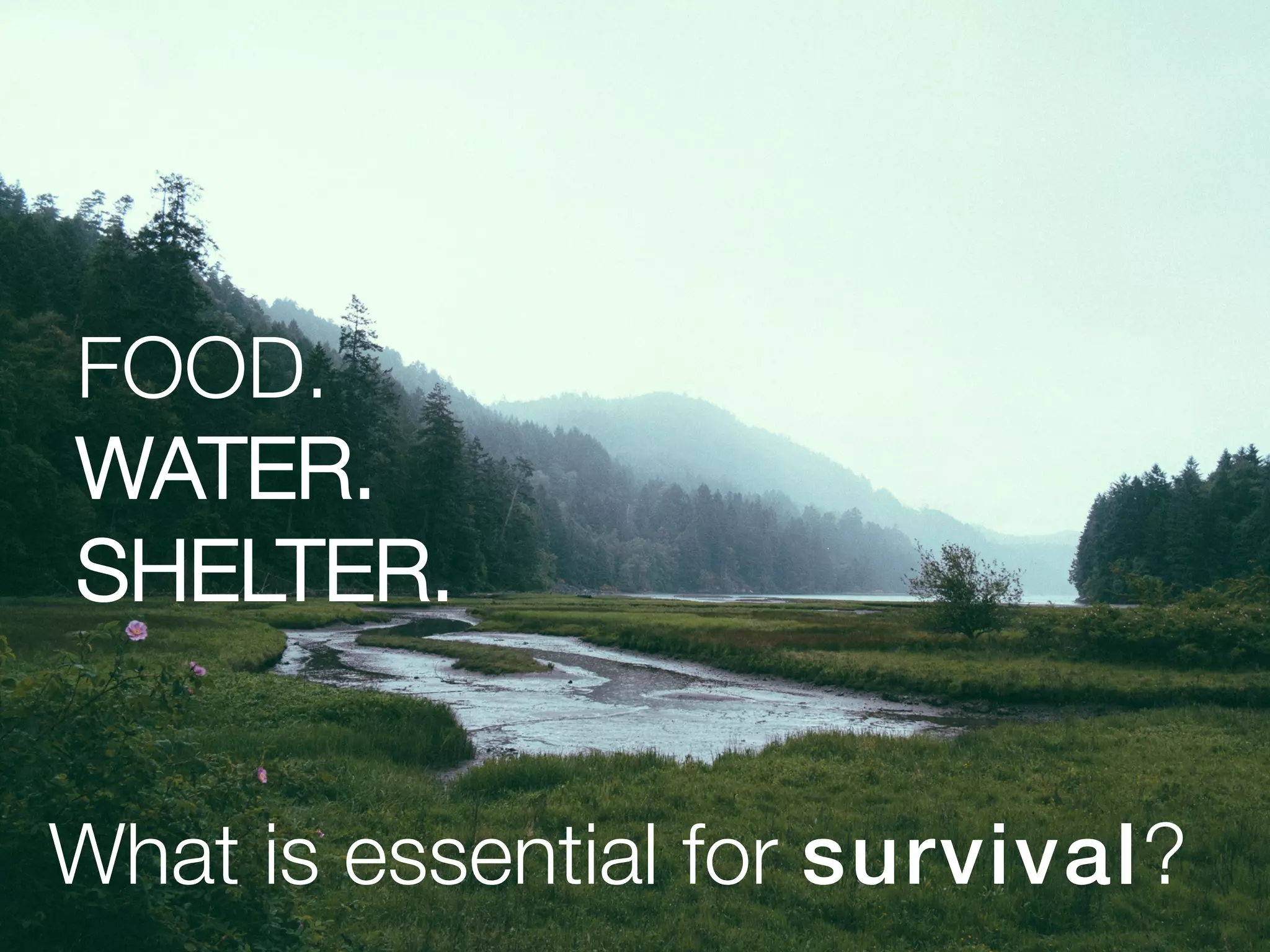 What is essential for survival?
FOOD. 
WATER.
SHELTER.
 