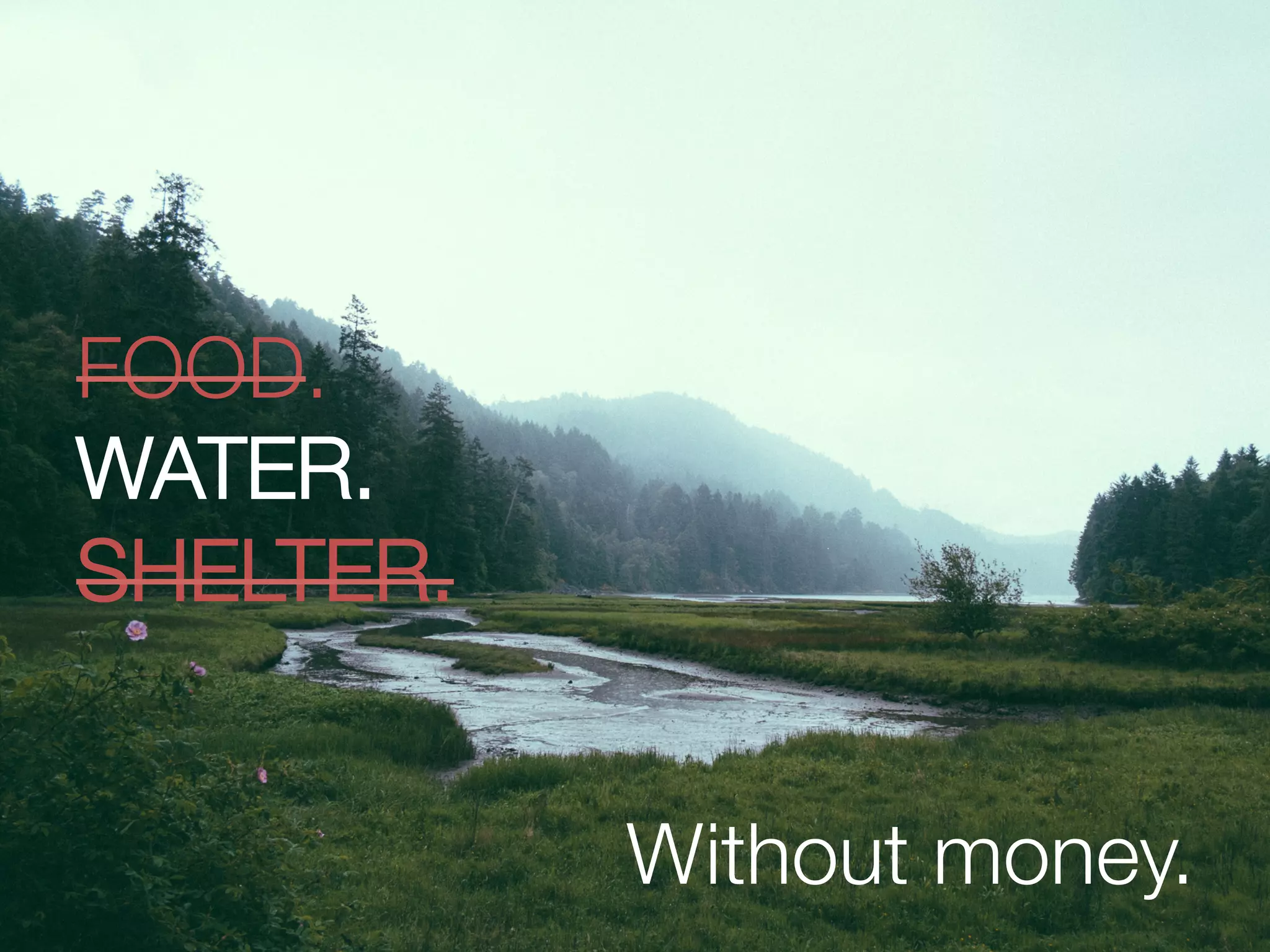 Without money.
FOOD. 
WATER. 
SHELTER.
 