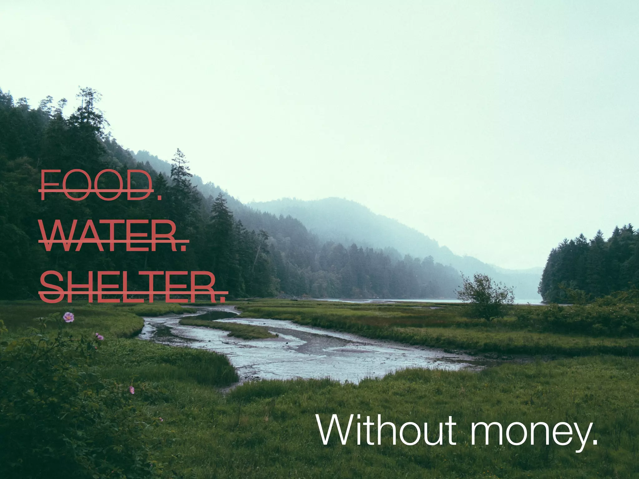 Without money.
FOOD. 
WATER. 
SHELTER.
 