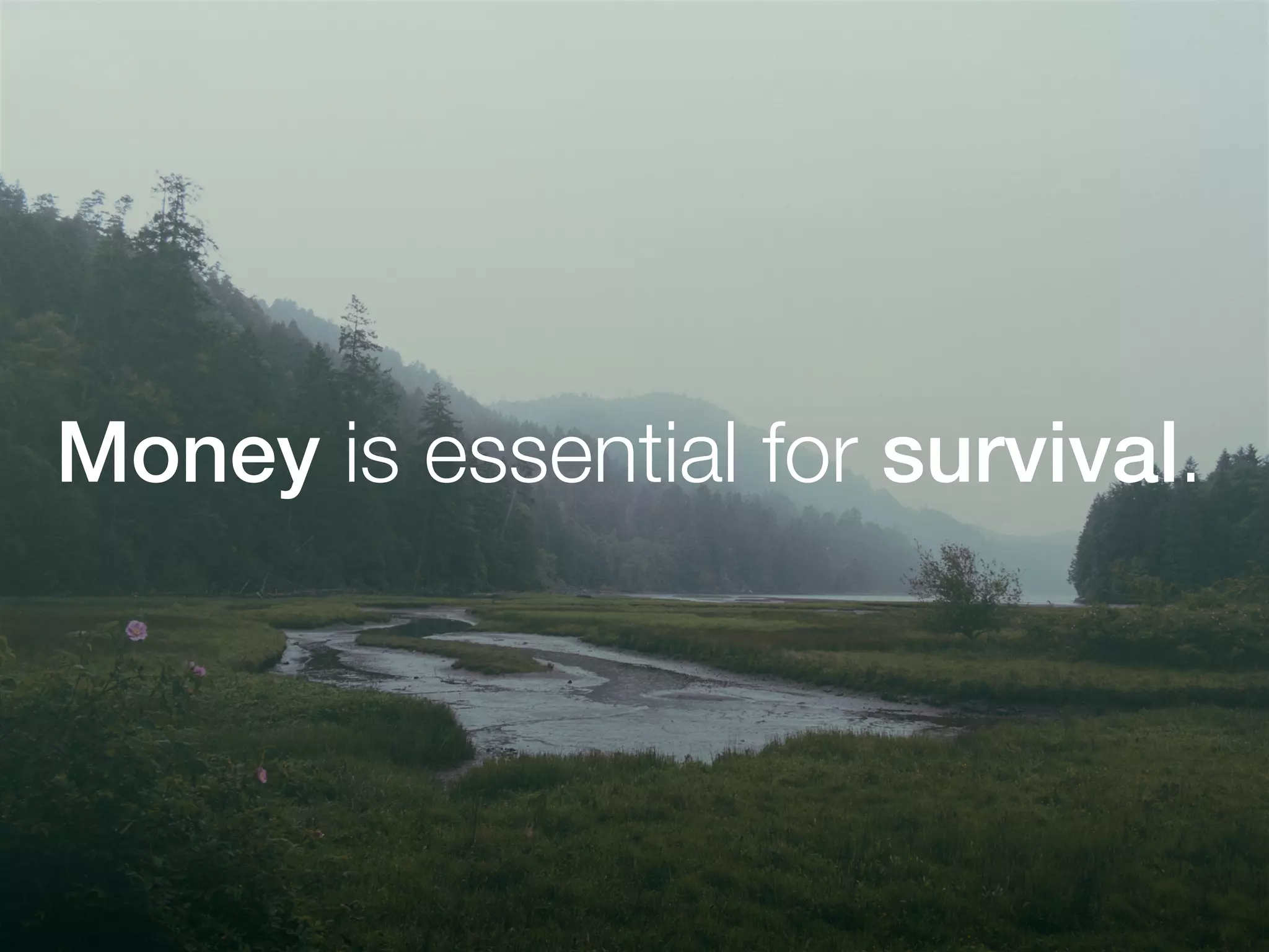 Money is essential for survival.
 