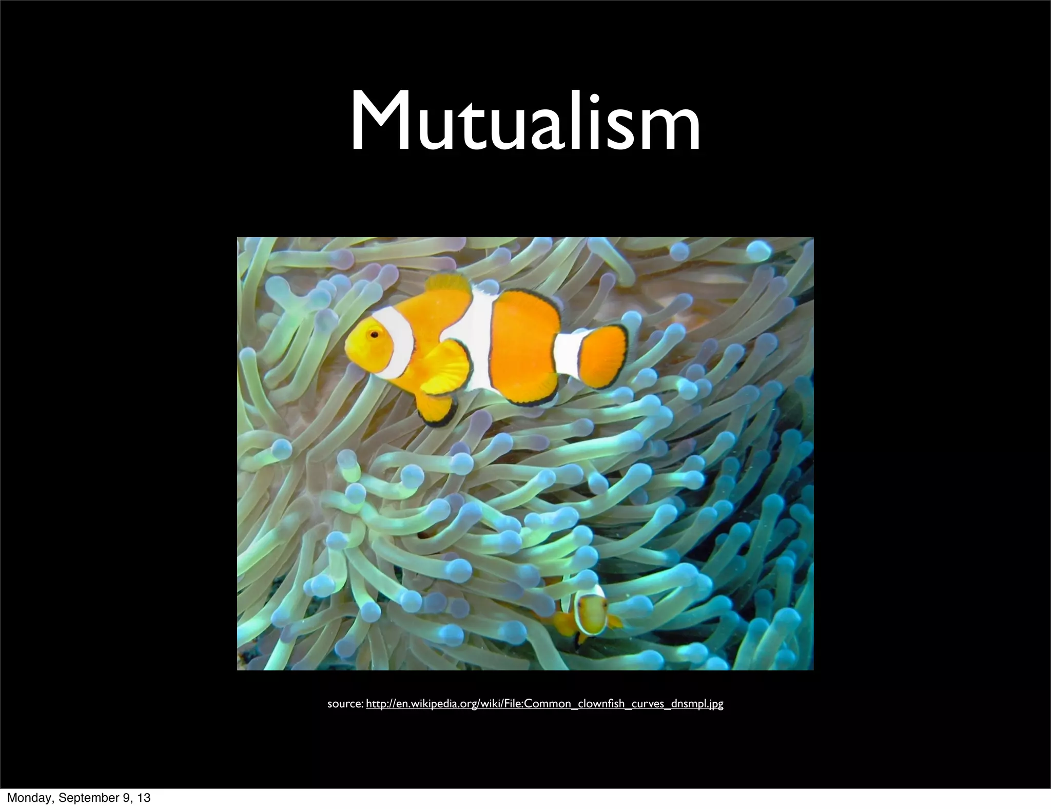 Mutualism
source: http://en.wikipedia.org/wiki/File:Common_clownﬁsh_curves_dnsmpl.jpg
Monday, September 9, 13
 