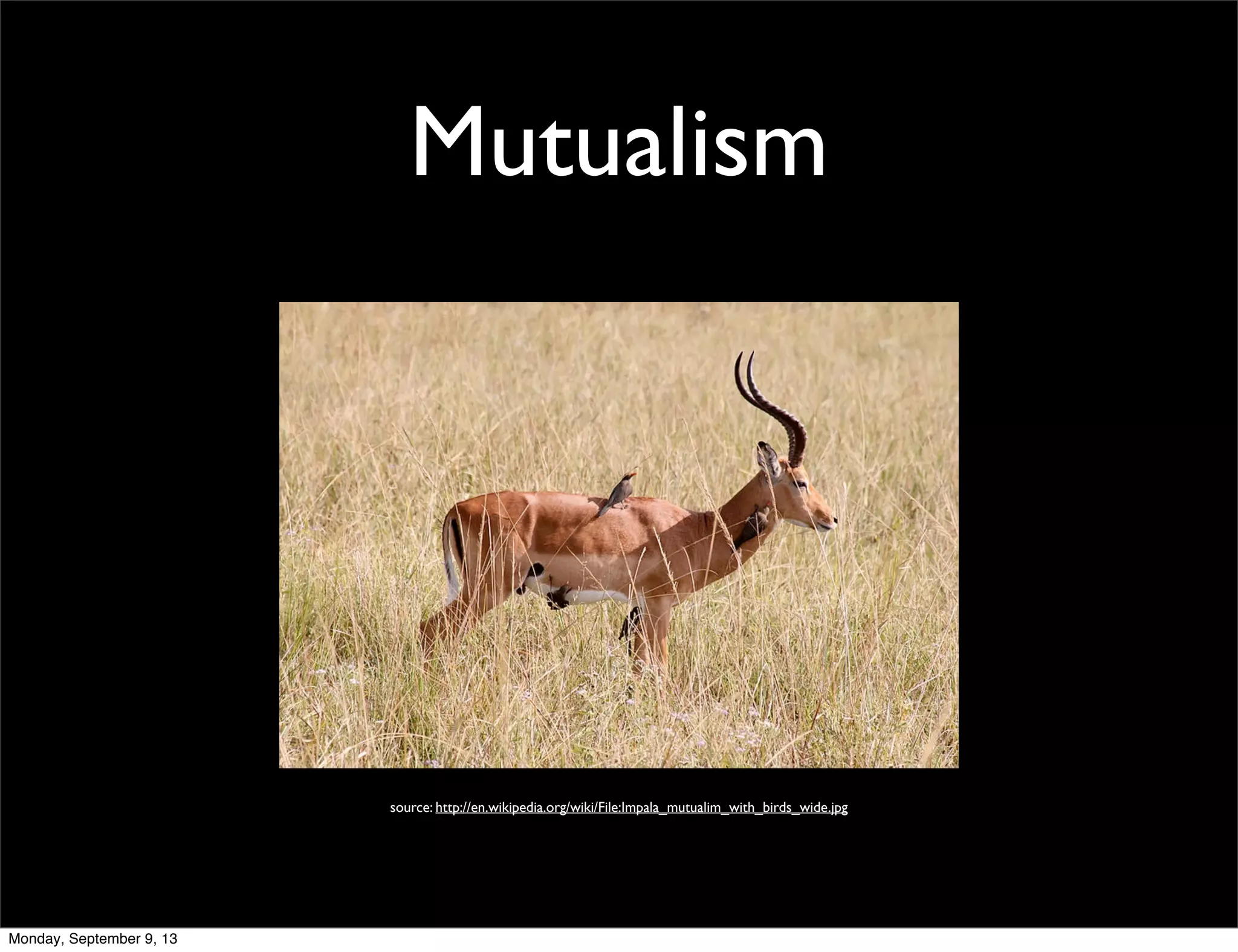 Mutualism
source: http://en.wikipedia.org/wiki/File:Impala_mutualim_with_birds_wide.jpg
Monday, September 9, 13
 