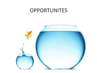OPPORTUNITES
 