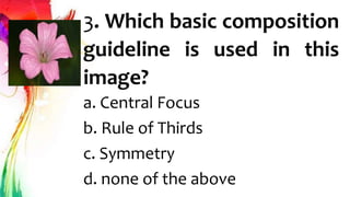 3. Which basic composition
guideline is used in this
image?
a. Central Focus
b. Rule of Thirds
c. Symmetry
d. none of the above
 