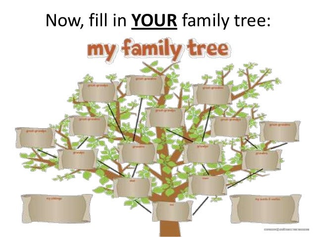 family tree sample