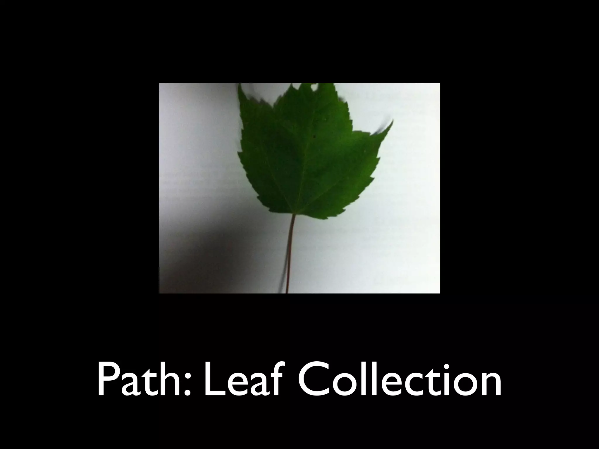 Path: Leaf Collection
 