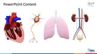 Interactive Content Design for Blended Learning 