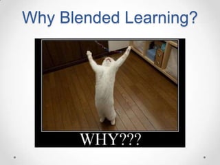Why Blended Learning?

 